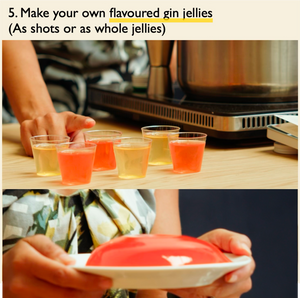 Large Spice & Botanical Infusion Kit for Gin