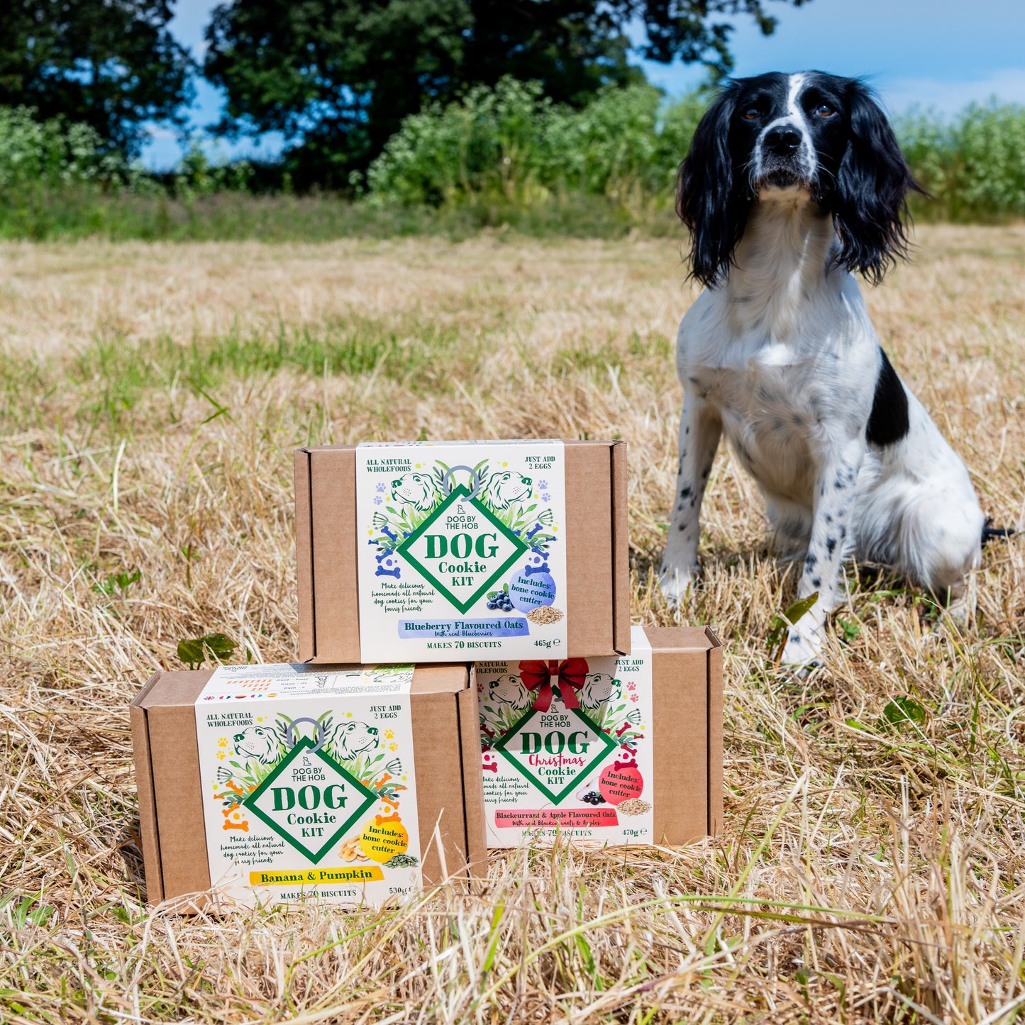 Dog Cookie Making Kit | Blueberries & Oats