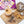 Chai Infusions Variety Pack